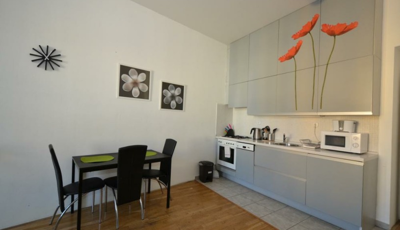 Apartments Wenceslas square Praha - Studio 509