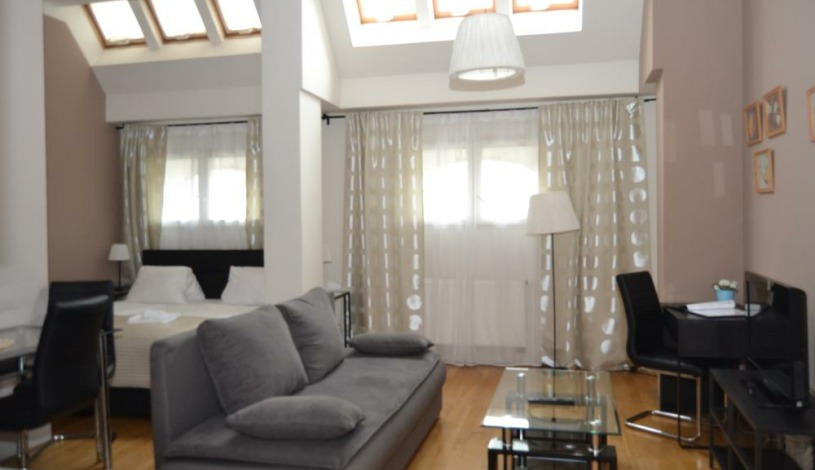 Apartments Wenceslas square Praha - Studio 708