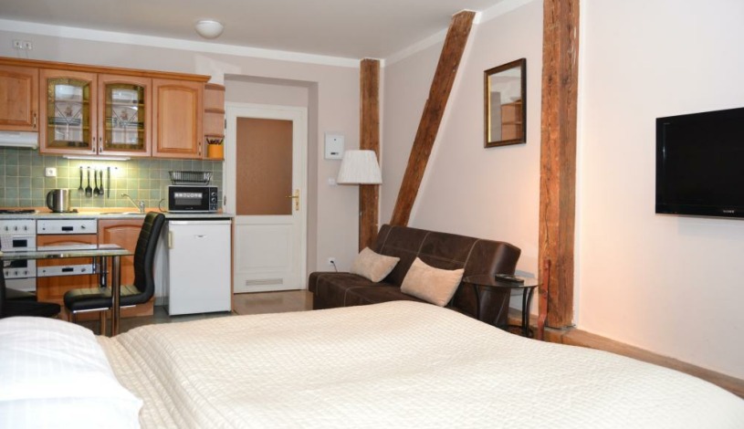 Apartments Wenceslas square Praha - Studio 709