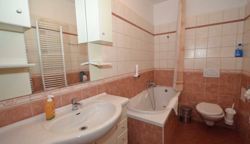 Apartments Wenceslas square Praha - Two Bedroom 503