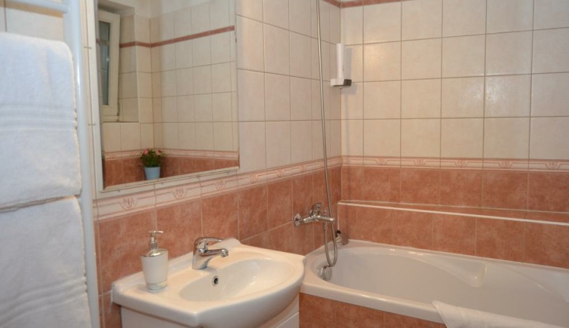 Apartments Wenceslas square Praha - Studio 709