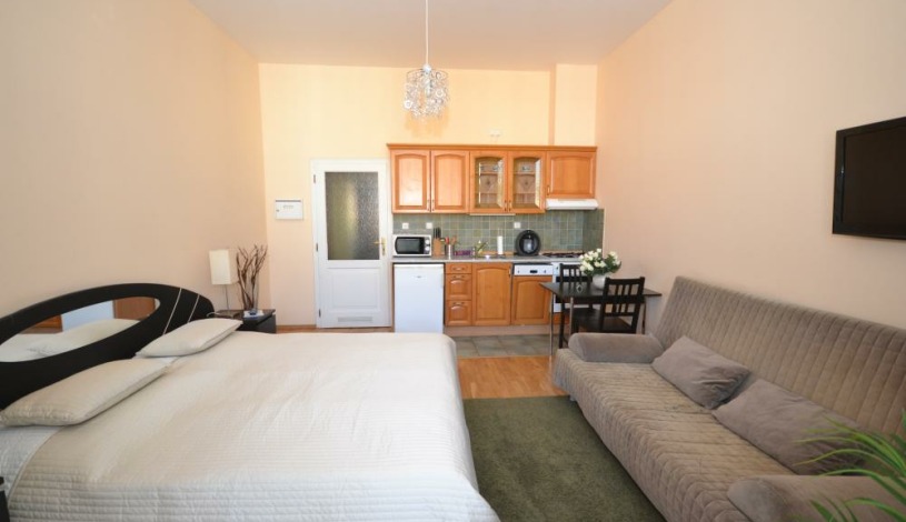 Apartments Wenceslas square Praha - Studio 608