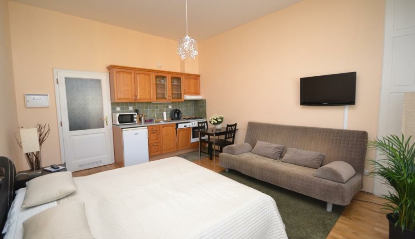 Apartments Wenceslas square Praha - Studio 
