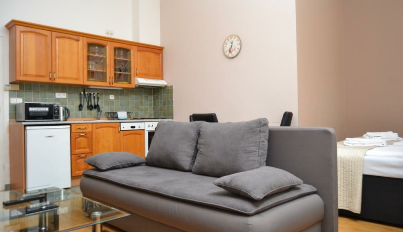 Apartments Wenceslas square Praha - Studio 708