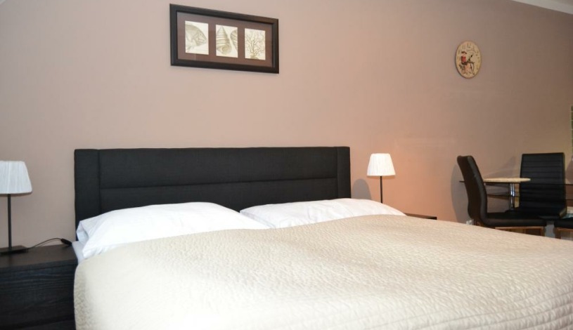 Apartments Wenceslas square Praha - Studio 709