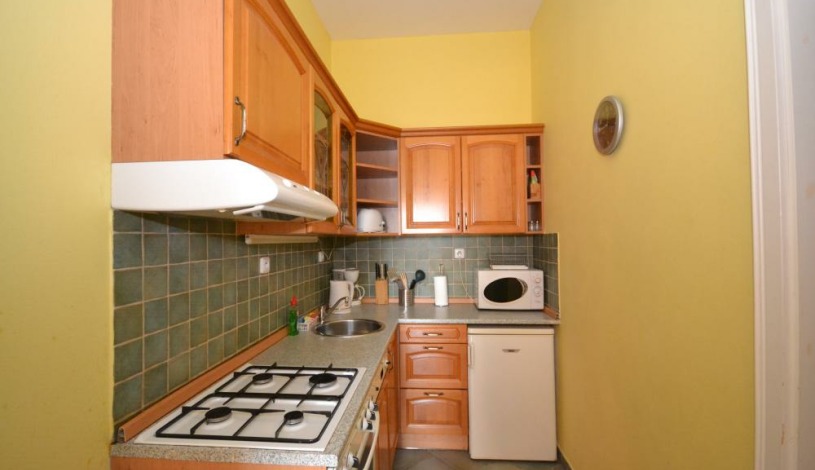 Apartments Wenceslas square Praha - One-Bedroom 606