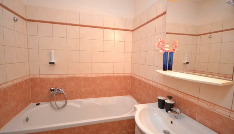 Apartments Wenceslas square Praha - Studio 608