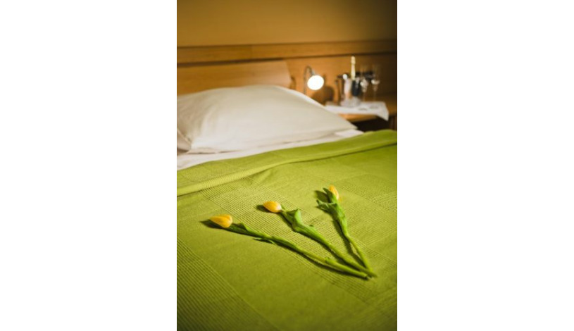 ARCHIBALD CITY HOTEL Praha - Pokoj pro 1 osobu