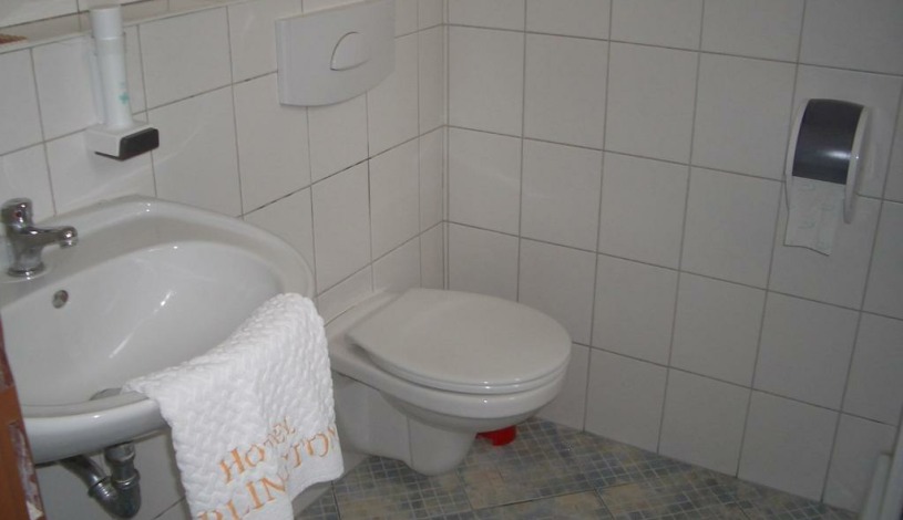 Elen´s Hotel Arlington *** Praha