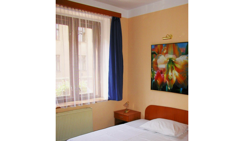 Elen´s Hotel Arlington *** Praha - Двухместный номер