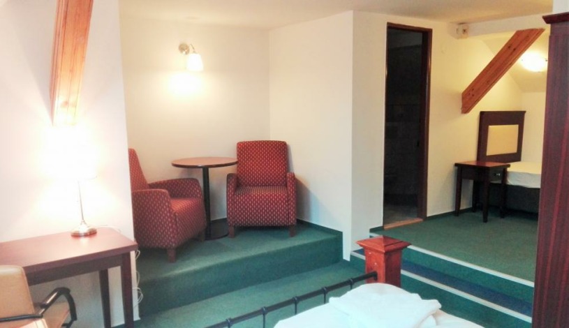 Elen´s Hotel Arlington *** Praha - Трехместный номер