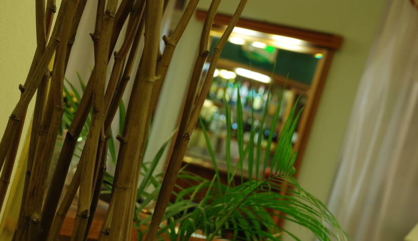 HOTEL ARON Praha