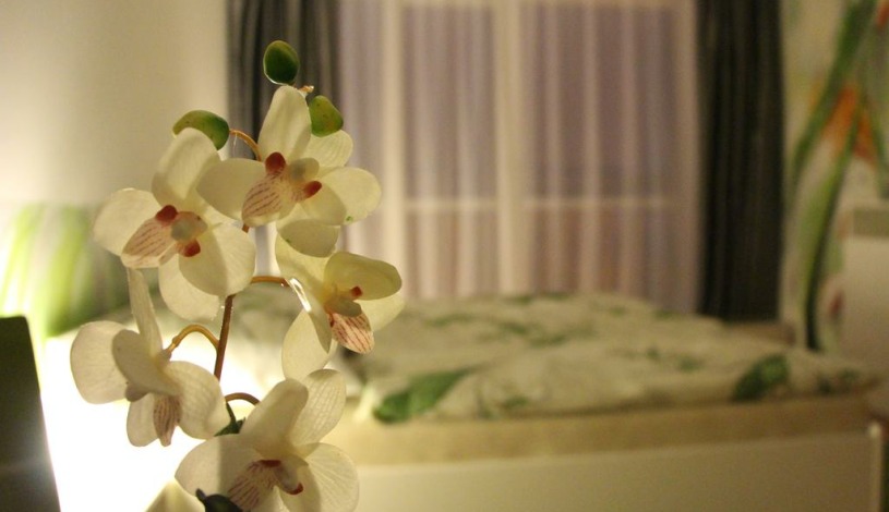 Art apartments Třeboň Třeboň