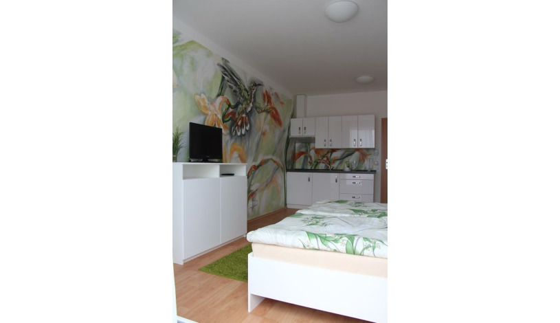 Art apartments Třeboň Třeboň