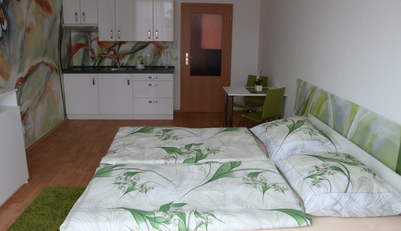 Art apartments Třeboň Třeboň