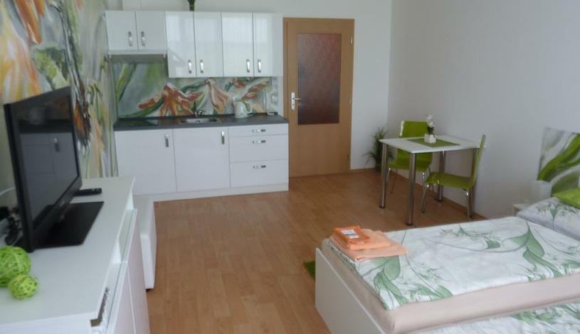 Art apartments Třeboň Třeboň