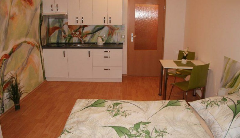 Art apartments Třeboň Třeboň - Apartman Art