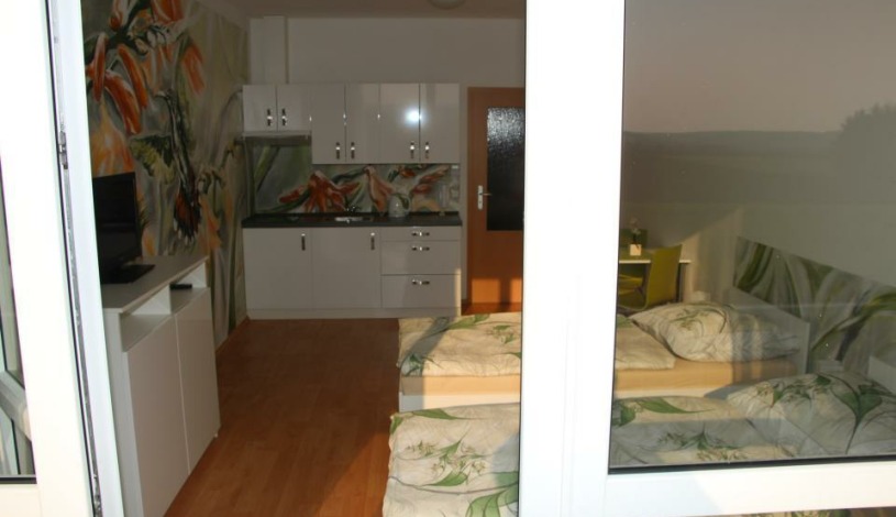Art apartments Třeboň Třeboň