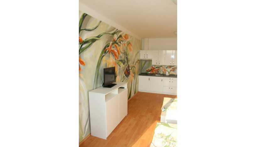 Art apartments Třeboň Třeboň