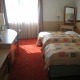Single room - Hotel Olympik Artemis **** Praha