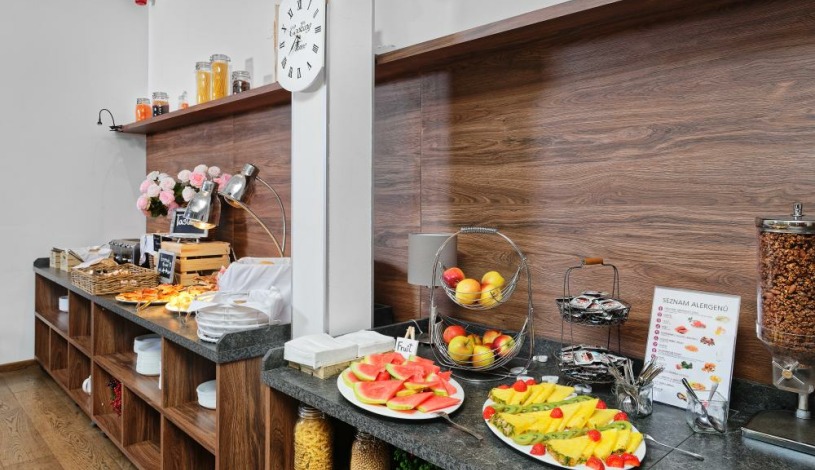 HOTEL AURA PRAHA design & garden wellness pool Praha