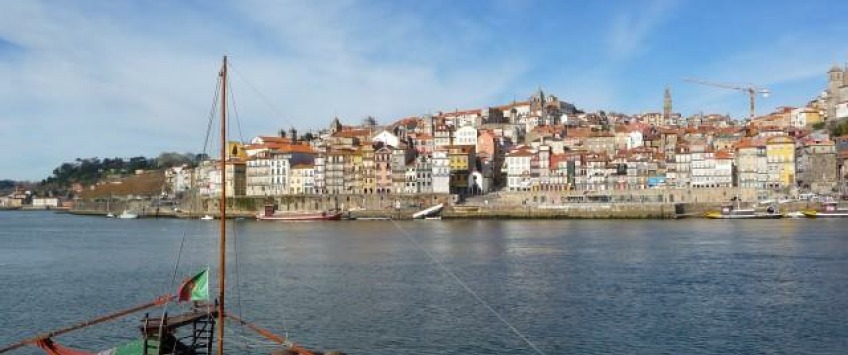 Apartment Avenida Diogo Leite Porto - Apt 19585