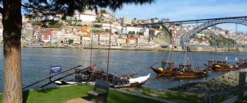 Apartment Avenida Diogo Leite Porto - Apt 19585