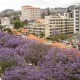 Apt 35997 - Apartment Avenida do Infante Funchal