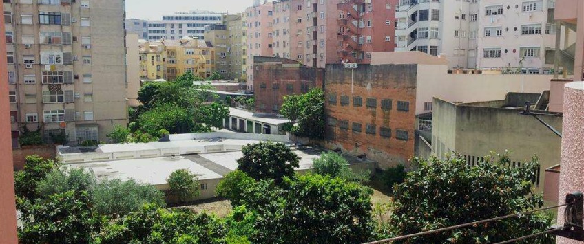 Apartment Avenida São João de Deus Lisboa - Apt 31704