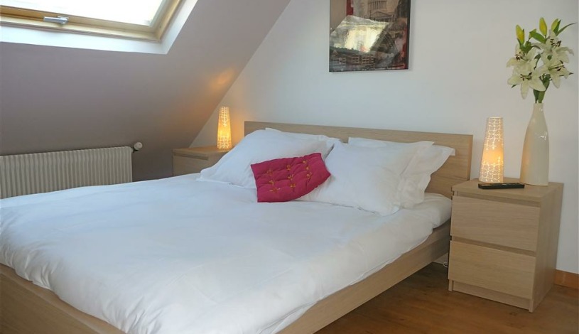 Apartment Avenue des Champs-Élysées Paris - Apt 24269