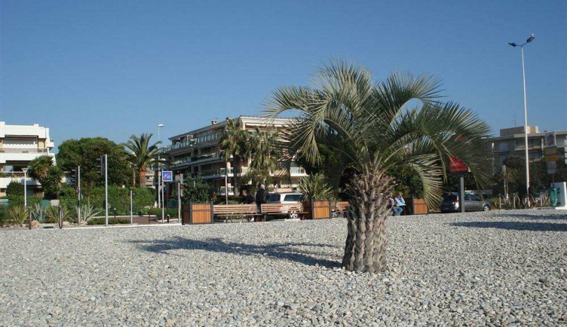 Apartment Avenue Saint-Hubert Nice - Apt 23572