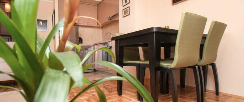 Apartment Banjska Beograd - Apt 38129