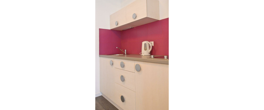 Apartment Baseina Kiev - Apt 27117