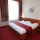 HOTEL BERÁNEK Praha - Double room