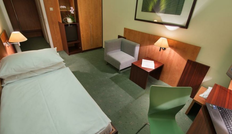 HOTEL GRAND Litava Beroun - Jednolůžkový, Apartmá
