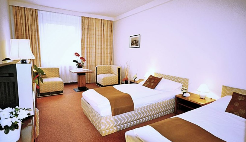 A - AUSTERLITZ hotel  Brno - Dvoulůžkový pokoj - parkování zdarma, dvoulůžkový standart