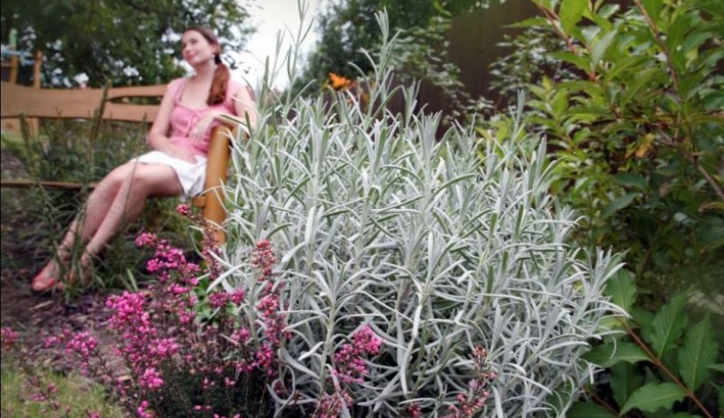 Hotel BELASSI Bojnice