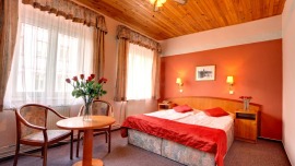 White Lion Praha - Double room