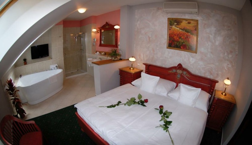 BIRDIE Pension Pardubice - Luxusní apartmá pro dvě osoby