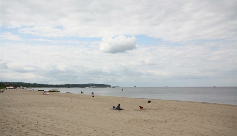 Apartment Bitwy pod Płowcami Sopot - Apt 31490