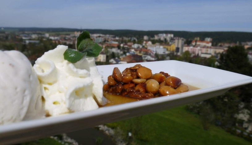 Penzion u Rechů Blansko - Zahradní apartmá s vířivkou a finskou saunou