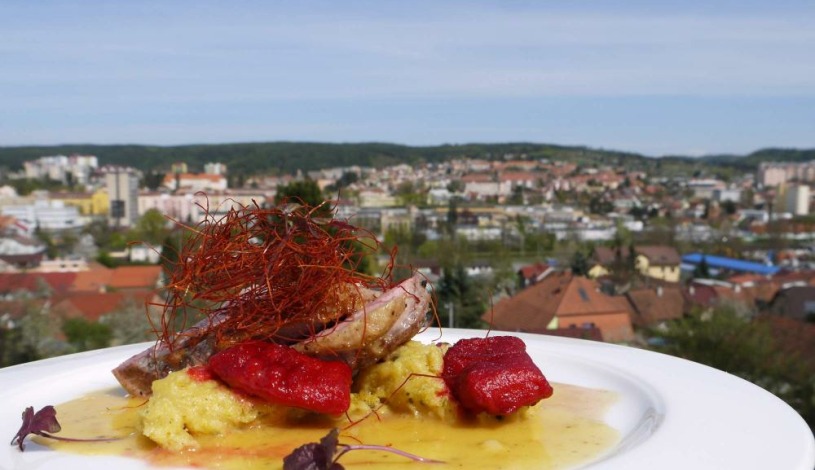 Penzion u Rechů Blansko - Zahradní apartmá s vířivkou a finskou saunou