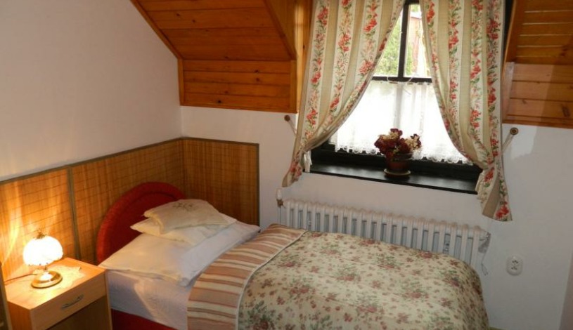 Penzion u Rechů Blansko - Wellness apartmá s vířivkou a kinotelevizí