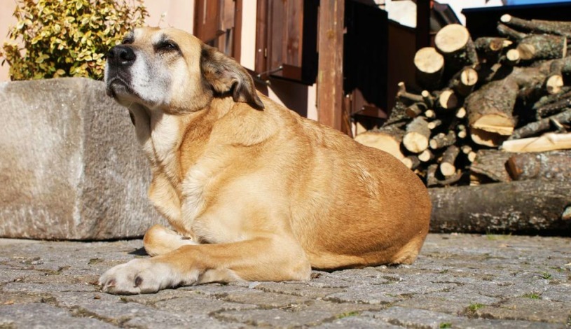 Bluegrass Club Český Krumlov