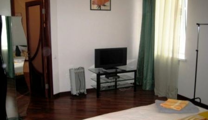 Apartment Bolshaya Vasilkovskaya Kiev - Apt 16211