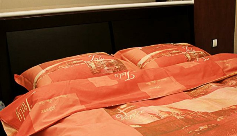 Apartment Bolshaya Vasilkovskaya Kiev - Apt 19100