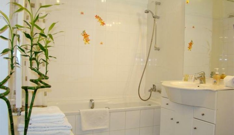 Apartment Bolshaya Vasilkovskaya Kiev - Apt 21083