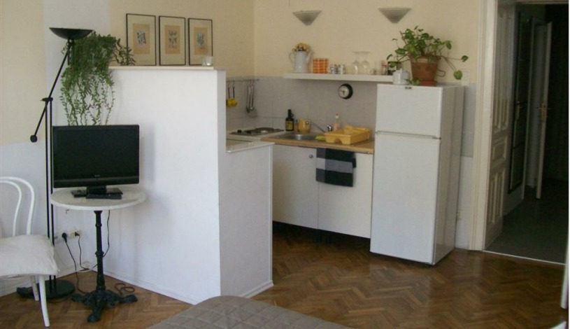 Apartment Bonygasse Wien - Apt 2216