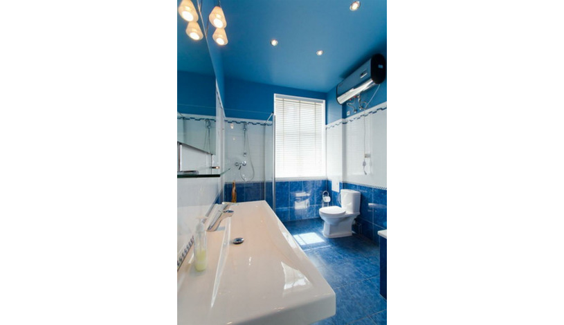 Apartment Borisa Grinchenko Kiev - Apt 20061