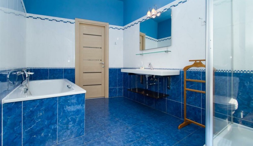 Apartment Borisa Grinchenko Kiev - Apt 20061